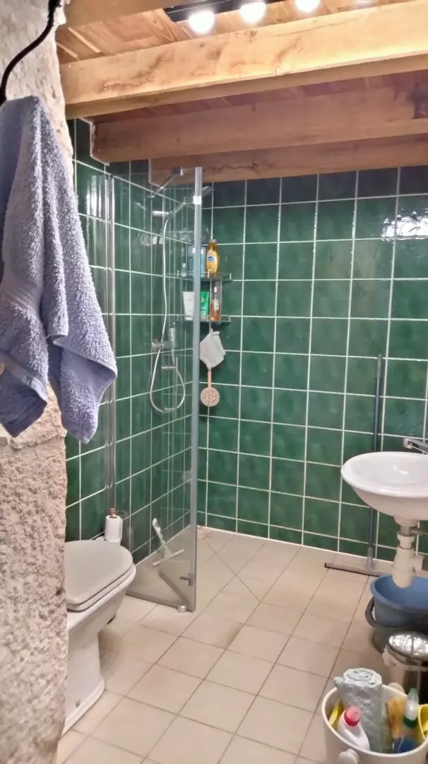 property_image_1ltsibxfyw_20261014060714-ac4794 4-bedroom Country House In Saint-ciers-sur-bonnieure, France (269 M²)