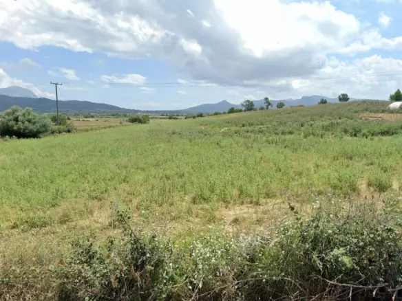 Land In Anaktorio, Greece