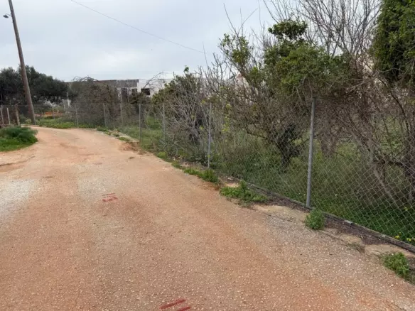 Land In Akrotiri, Greece