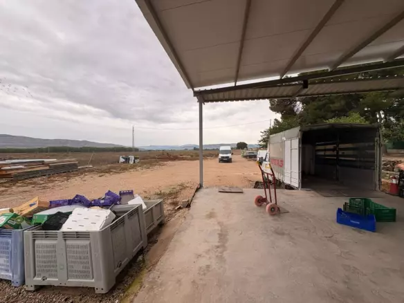 5-bedroom Country House In Villena, Spain (400 M²)