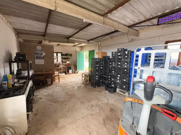 5-bedroom Country House In Villena, Spain (400 M²)