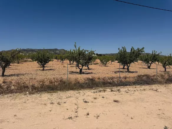 3-bedroom Detached Villa In Pinoso, Spain (153 M²)
