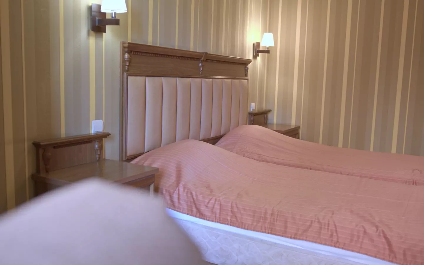 Turnkey 21-room Boutique Hotel | Prime Investment Opportunity In Plovdiv