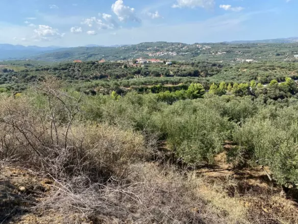 Land In Platanias, Greece