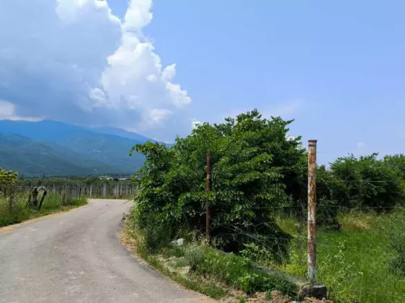 Land In Easts Olimpos, Greece