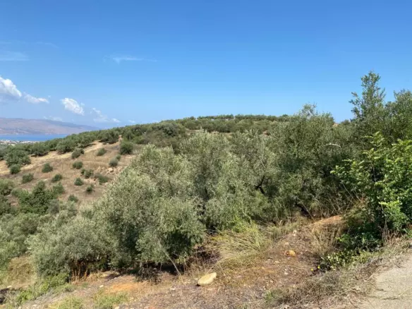 Land In Platanias, Greece