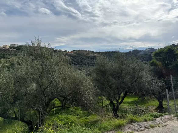 Land In Nea Kidonia, Greece