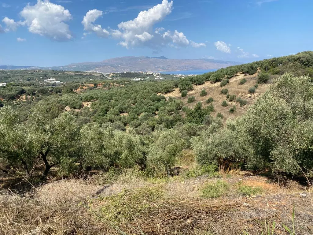 Land In Platanias, Greece