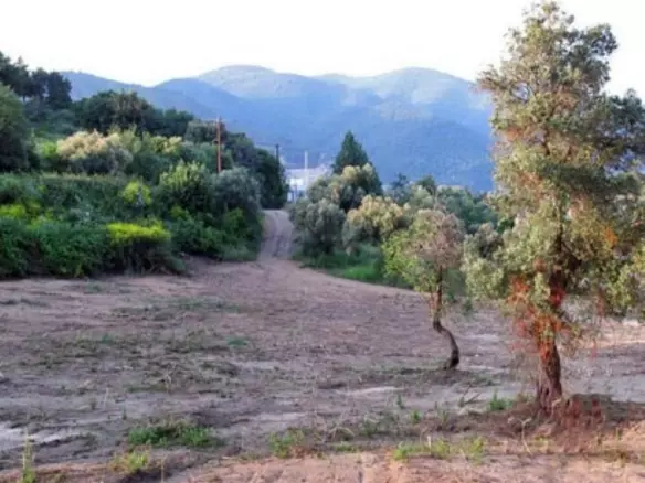 Land In Aristotle, Greece