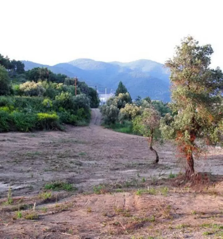 Land In Aristotle, Greece