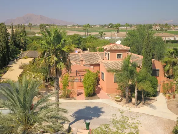 7-bedroom Country House In Catral, Spain (396 M²)