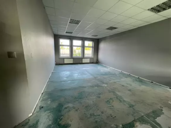 Commercial Property Near Poznań: Warehouse, Production & Offices (~1,456 Sqm)