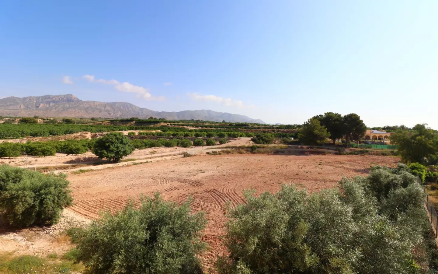 3-bedroom Country House In Albatera, Spain (164 M²)