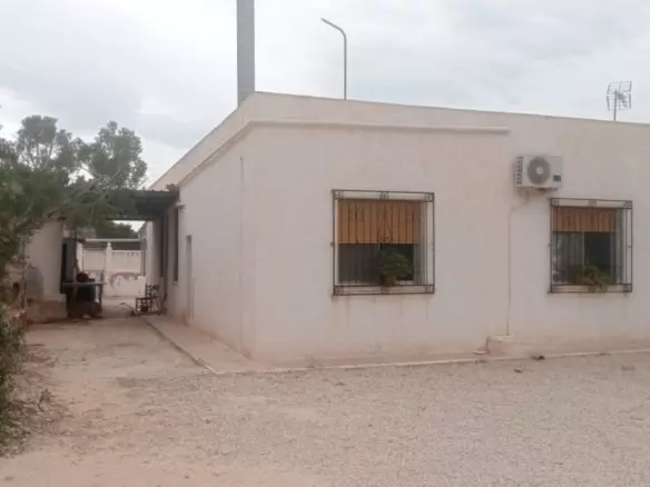 4-bedroom Finca In Crevillente, Spain (200 M²)