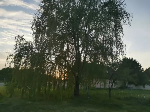 7,885 M² Residential Plot For Sale In Bakonyszentiván (veszprém County), Hungary