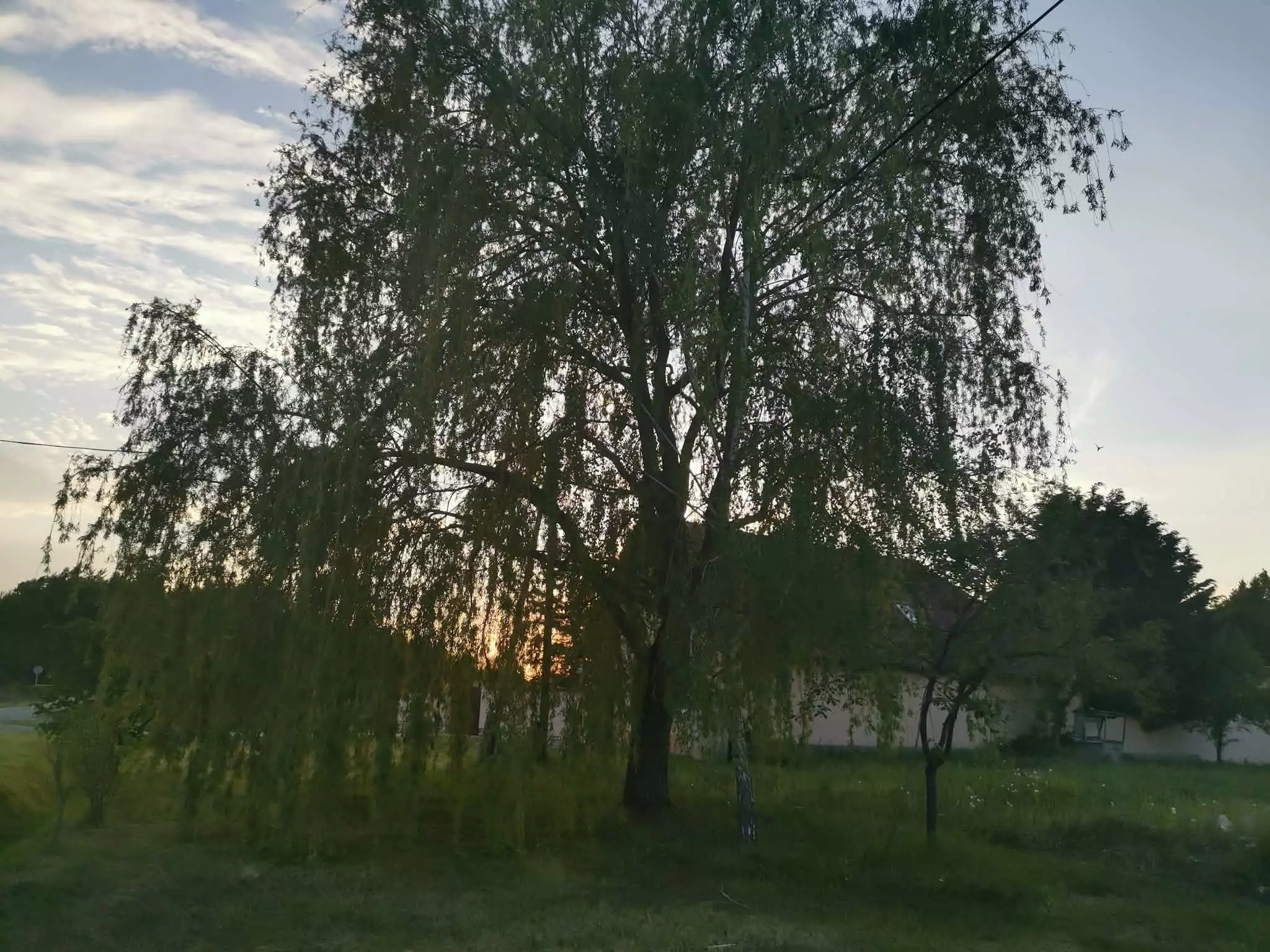7,885 M² Residential Plot For Sale In Bakonyszentiván (veszprém County), Hungary