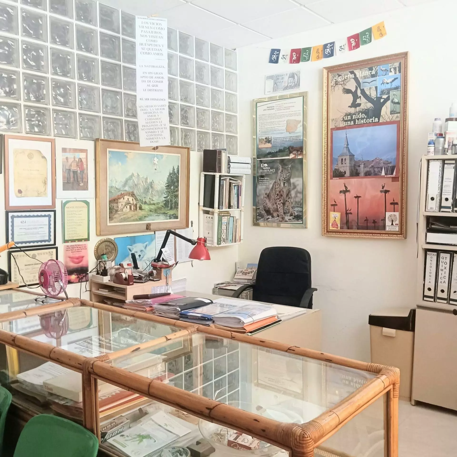 8-bedroom Commercial Unit In Benidorm, Spain (300 M²)
