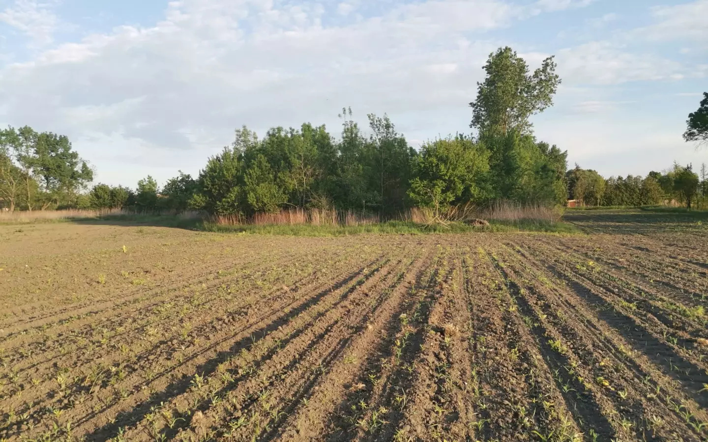 7,885 M² Residential Plot For Sale In Bakonyszentiván (veszprém County), Hungary