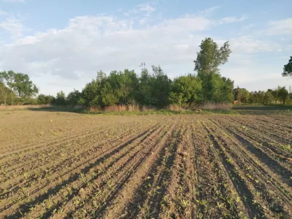7,885 M² Residential Plot For Sale In Bakonyszentiván (veszprém County), Hungary