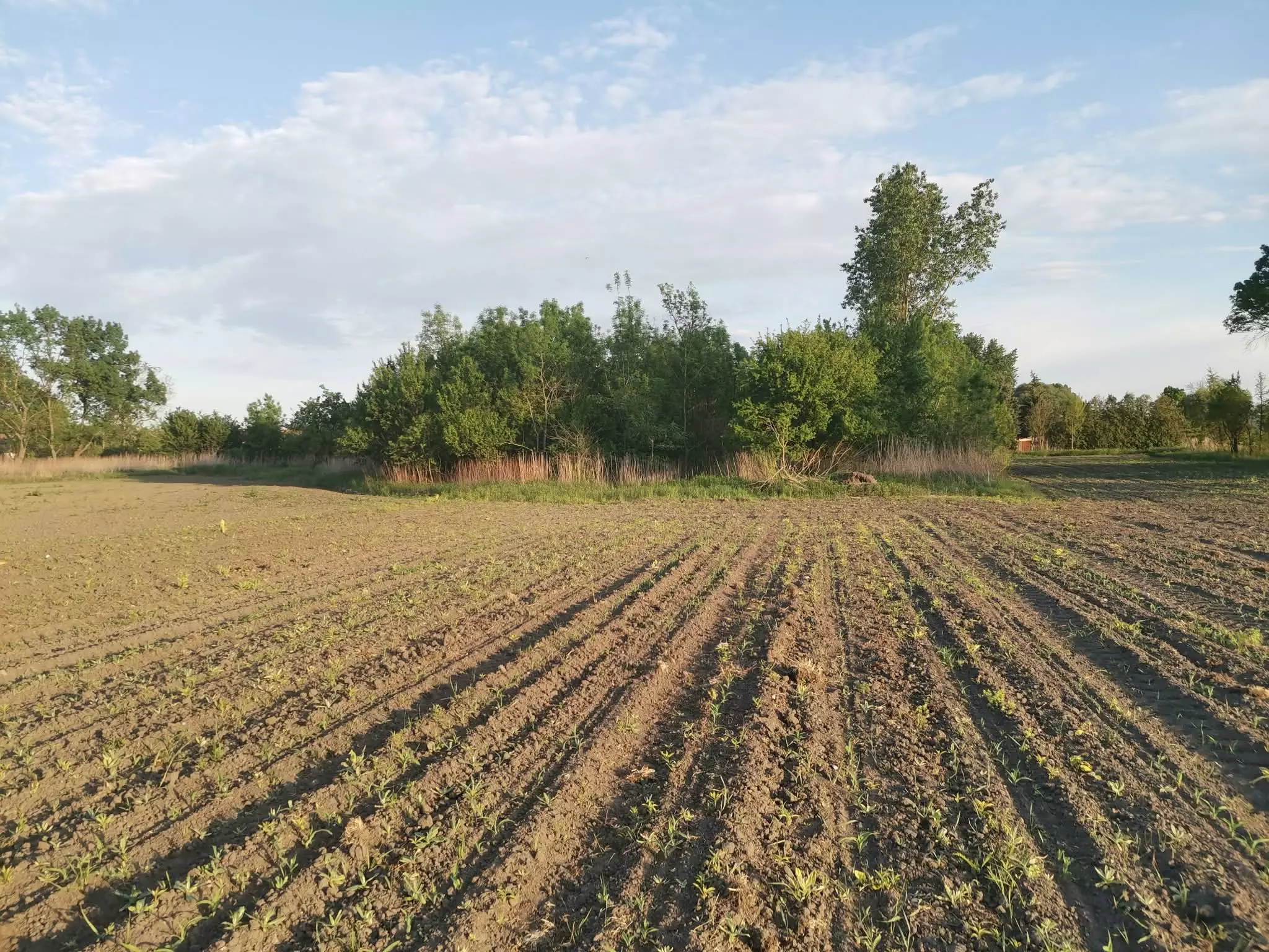 7,885 M² Residential Plot For Sale In Bakonyszentiván (veszprém County), Hungary