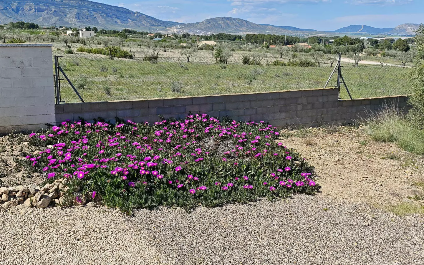 4-bedroom Country House In Caudete, Spain (210 M²)