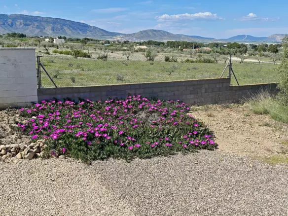 4-bedroom Country House In Caudete, Spain (210 M²)