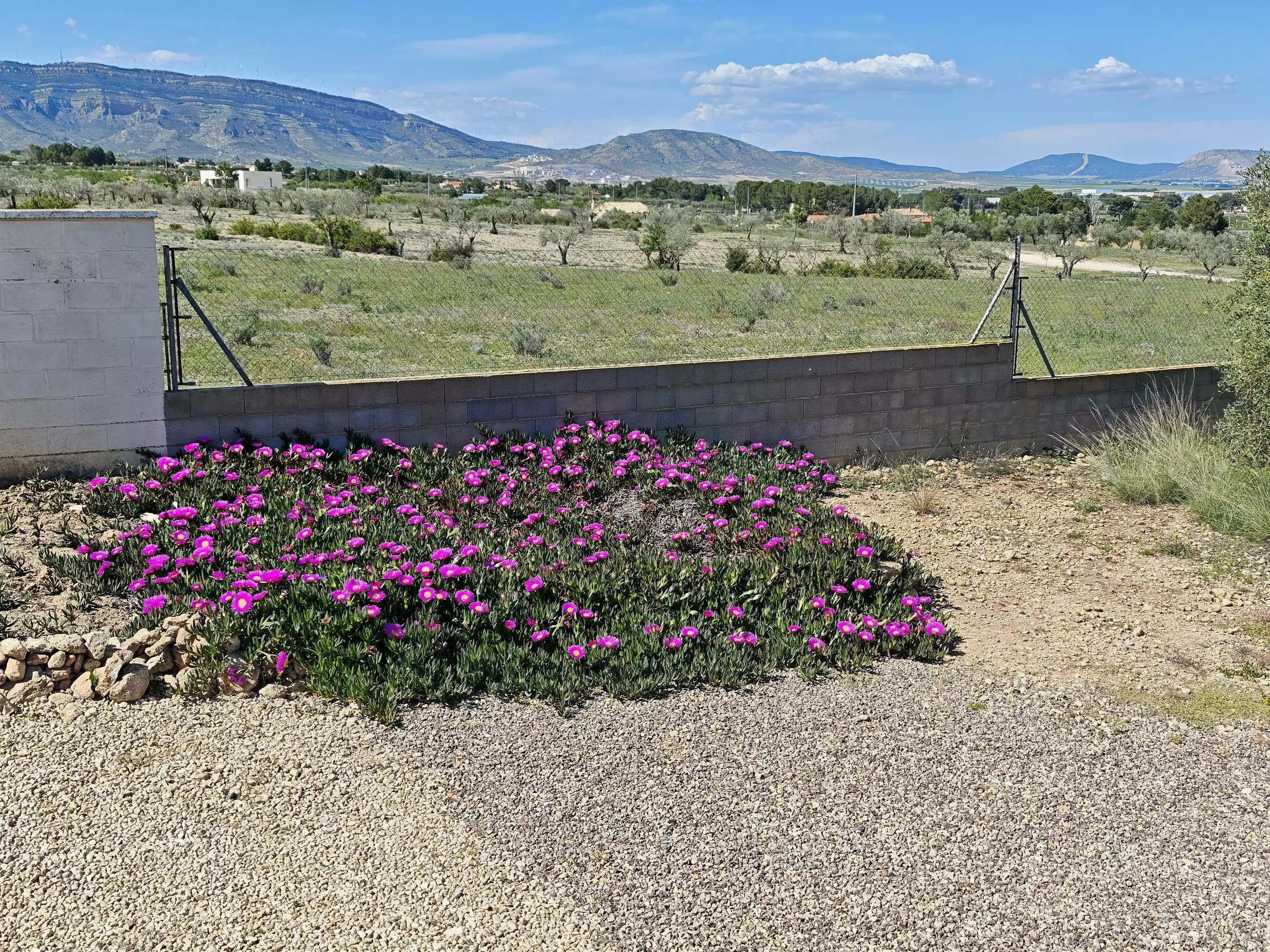 4-bedroom Country House In Caudete, Spain (210 M²)