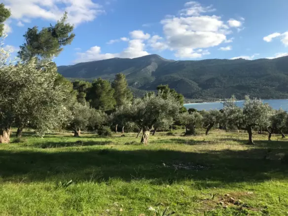 Land In Vilia, Greece