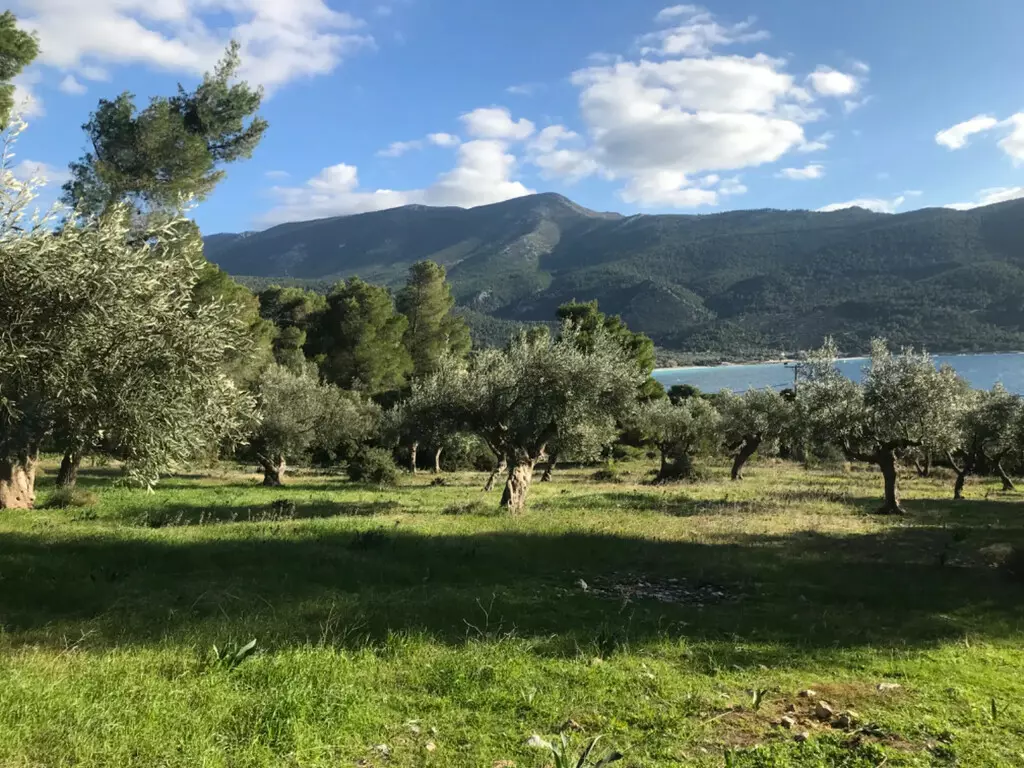 Land In Vilia, Greece