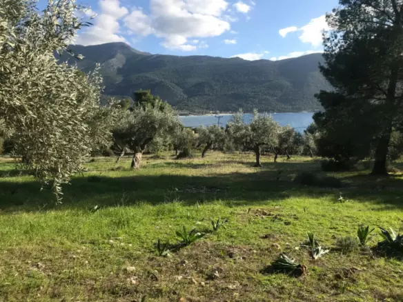 Land In Vilia, Greece