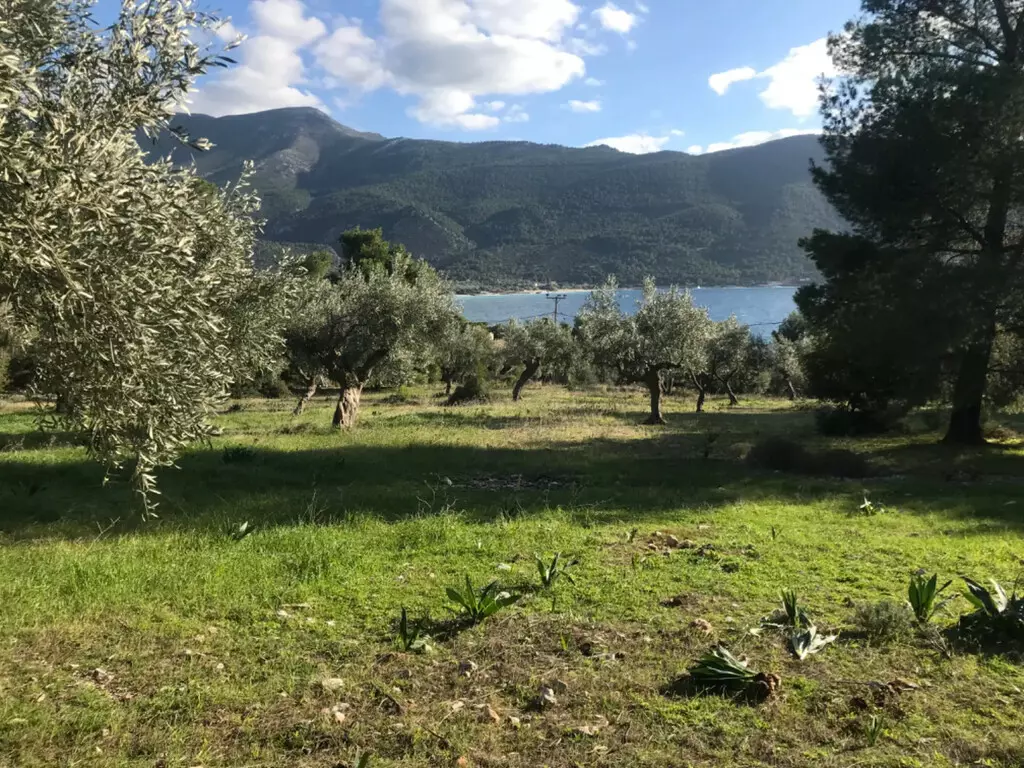Land In Vilia, Greece