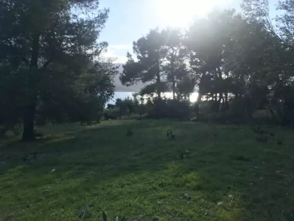 Land In Vilia, Greece