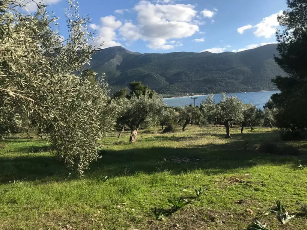 Land In Vilia, Greece