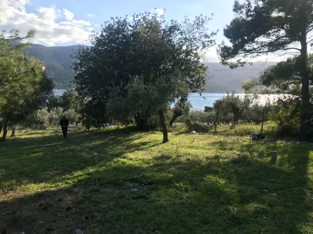 Land In Vilia, Greece