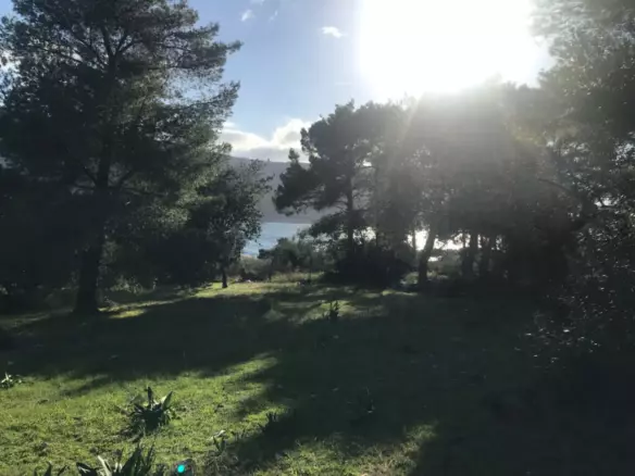 Land In Vilia, Greece
