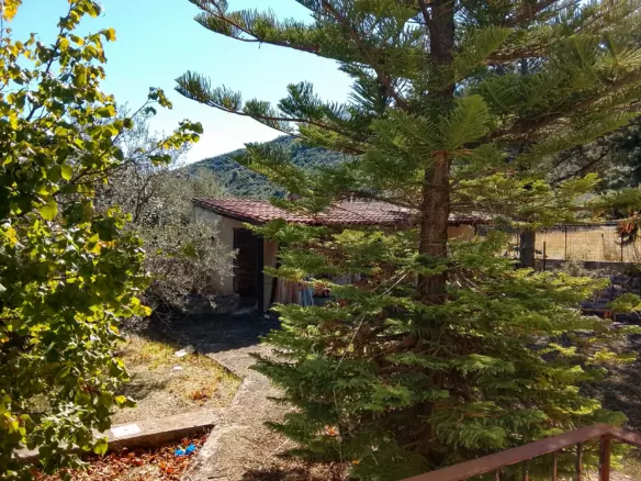 Greece Tragana, Fthiotida Detached House (240 Sqm Total, Comprising 2 Maisonettes) On A 1,700 Sqm Plot