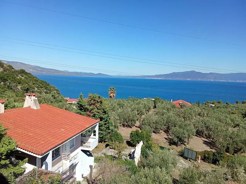 Central Greece Arkitsa House Of 167 Sq.m. On 2 Levels Within A 2800 Sq.m. Plot