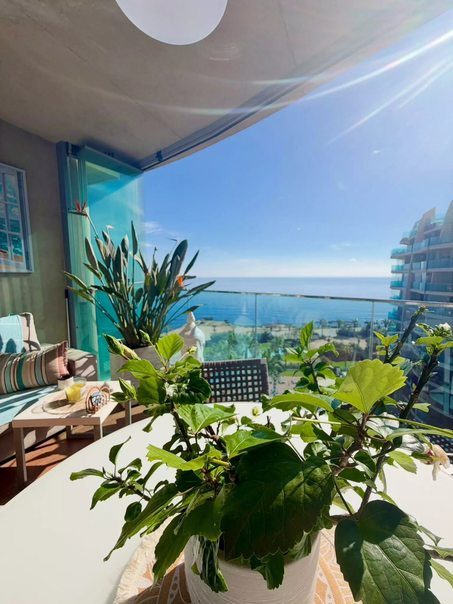 7709_cc2f68daeabc92fd43c0dddc15066594-0cf0fd 2-bedroom Property In Torrevieja, Spain (96 M²)