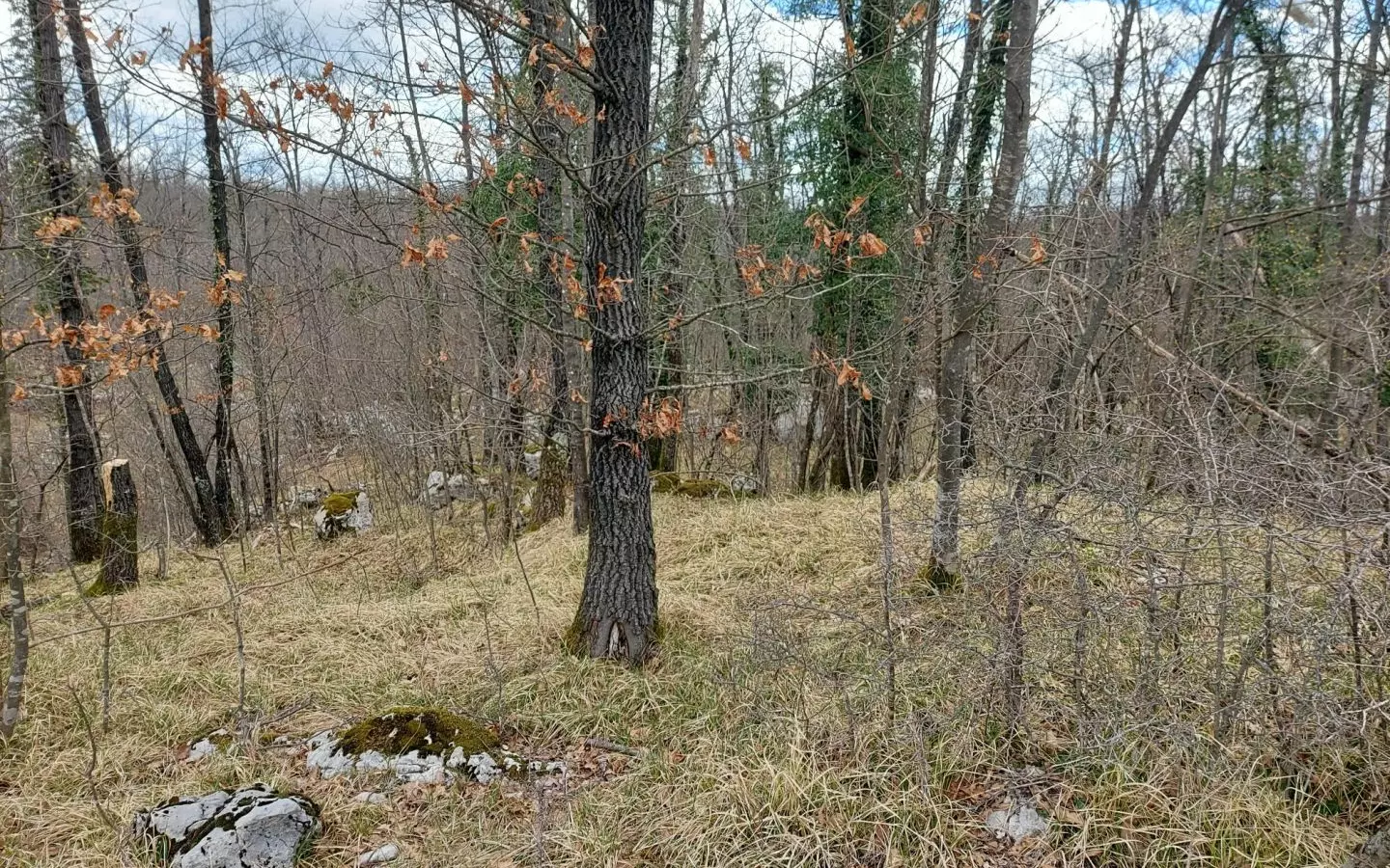 Land In Permani, Croatia (1.640 M²)