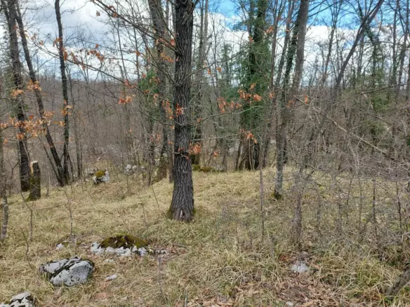 Land In Permani, Croatia (1.640 M²)