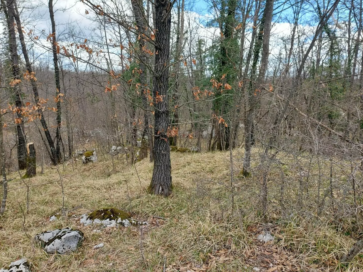 Land In Permani, Croatia (1.640 M²)