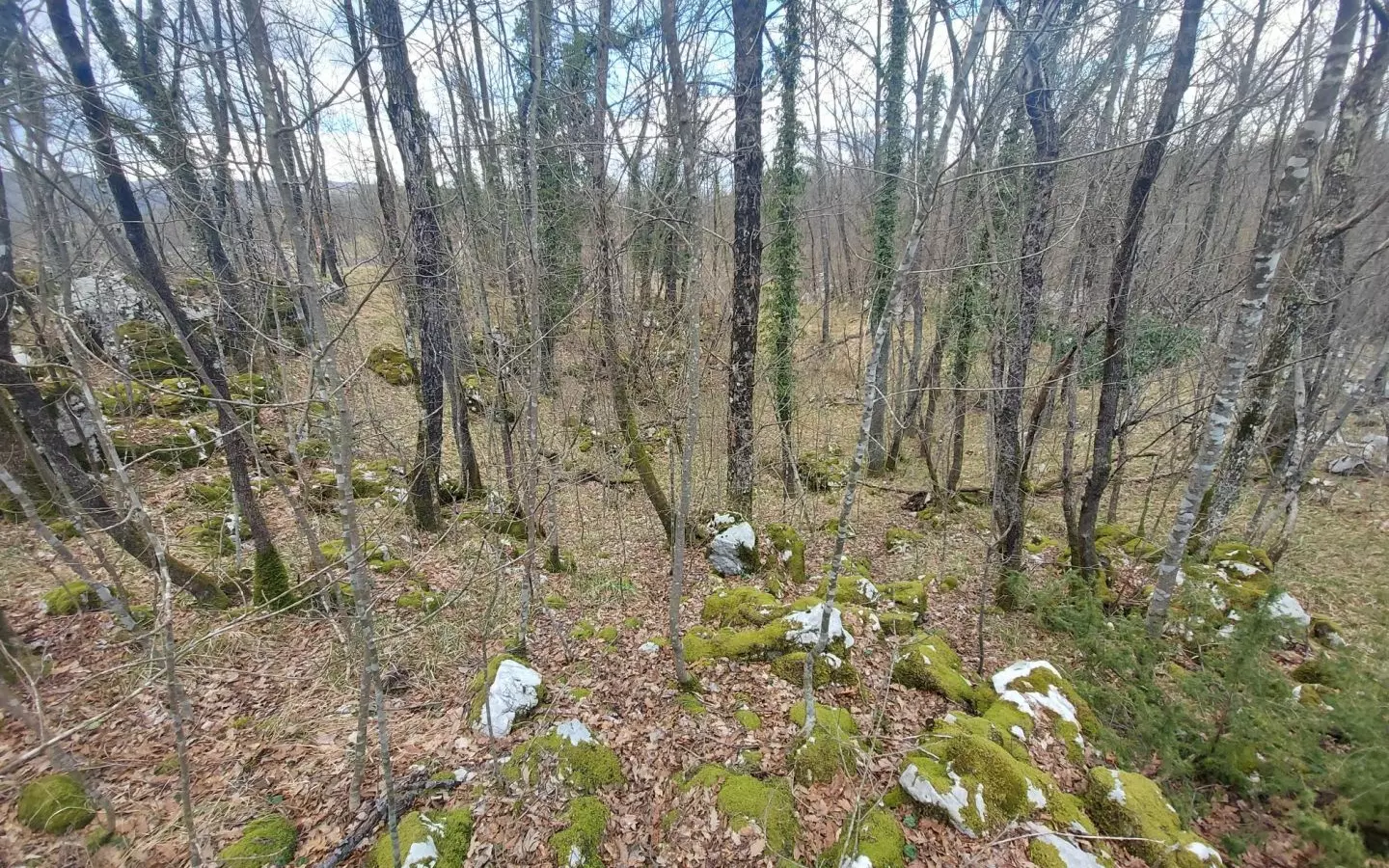 Land In Permani, Croatia (1.640 M²)