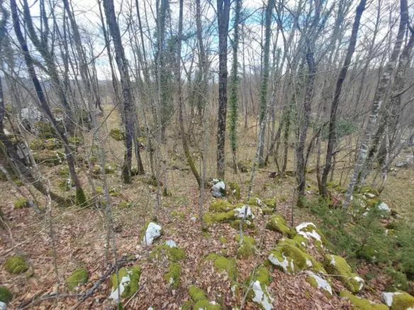 Land In Permani, Croatia (1.640 M²)