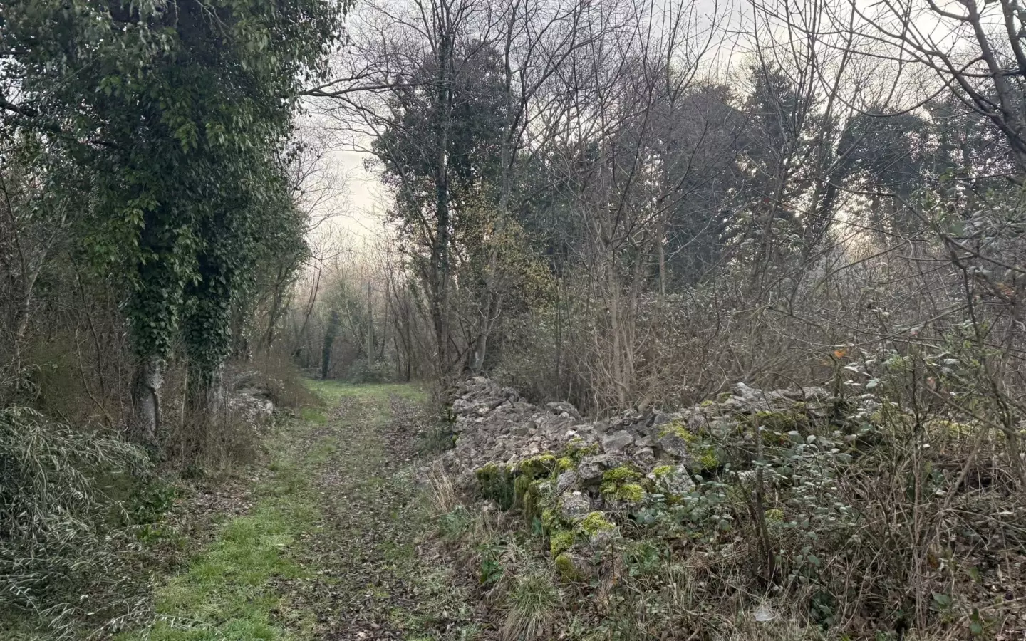 Land In Labin, Croatia (219 M²)