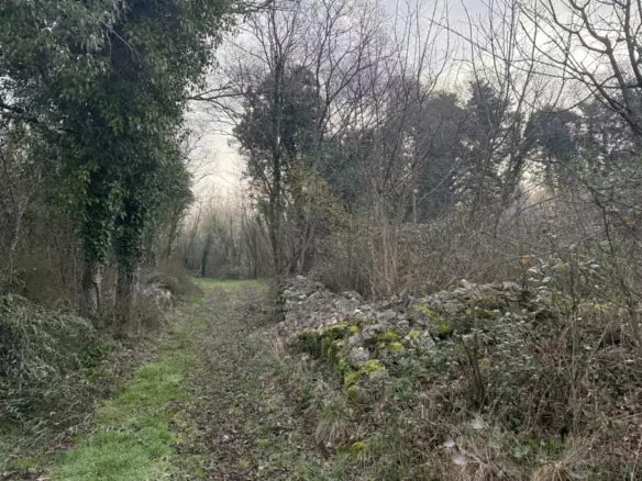 Land In Labin, Croatia (219 M²)
