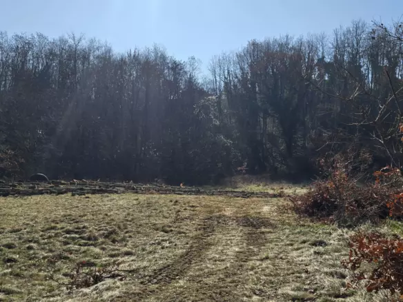 Land In Sveta Katarina, Croatia (2.312 M²)
