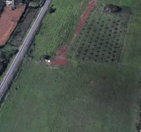 Land In Šijana, Croatia (9.500 M²)