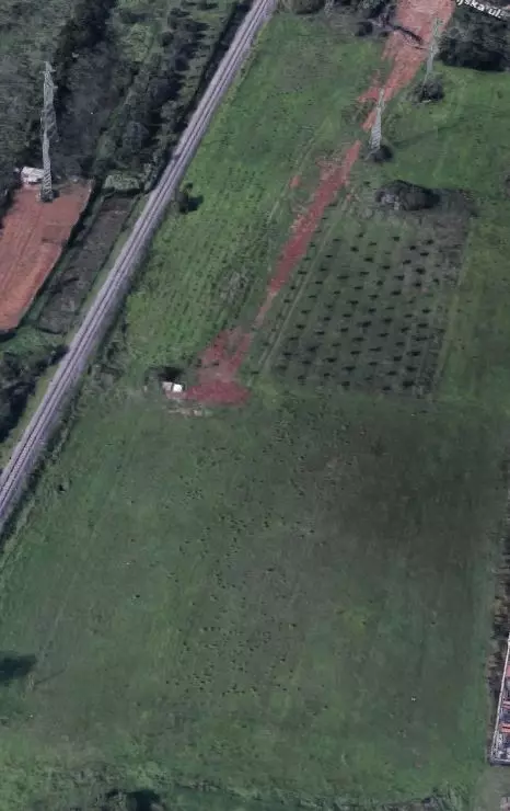Land In Šijana, Croatia (9.500 M²)
