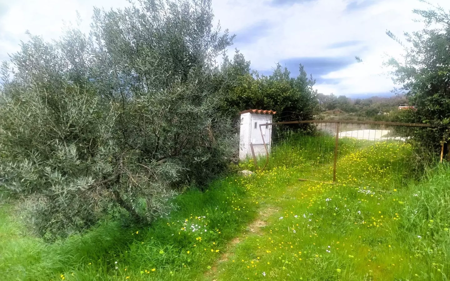 Land In Šijana, Croatia (3.353 M²)