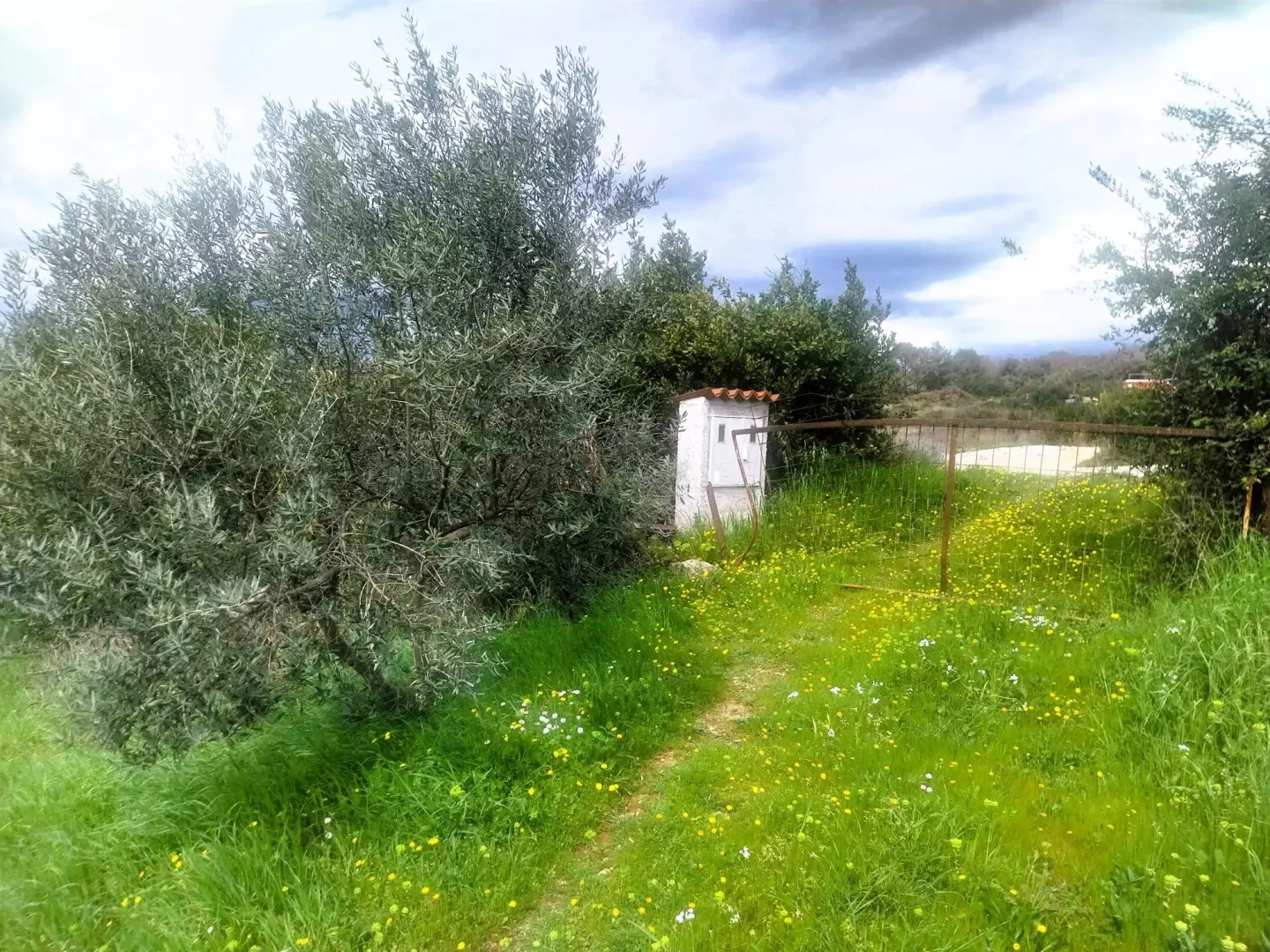 Land In Šijana, Croatia (3.353 M²)